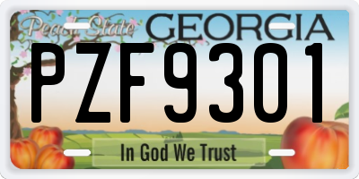 GA license plate PZF9301