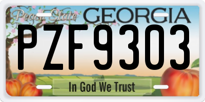 GA license plate PZF9303