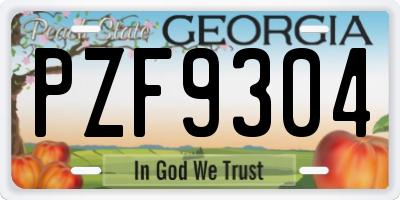 GA license plate PZF9304