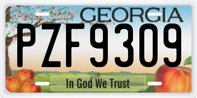 GA license plate PZF9309
