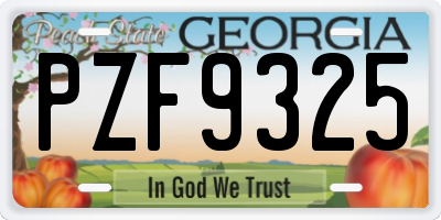GA license plate PZF9325