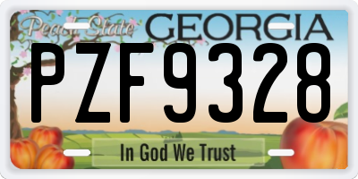GA license plate PZF9328