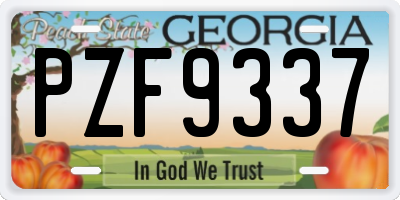 GA license plate PZF9337