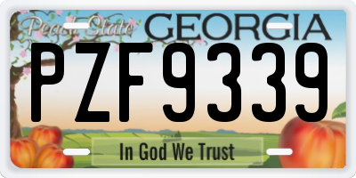 GA license plate PZF9339