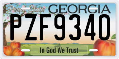 GA license plate PZF9340