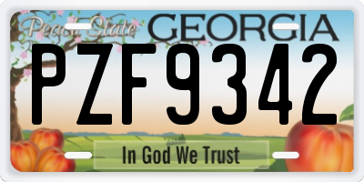 GA license plate PZF9342