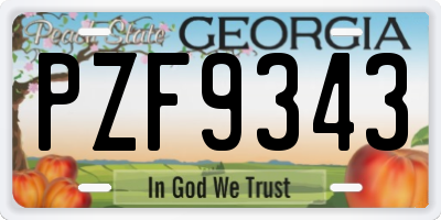 GA license plate PZF9343