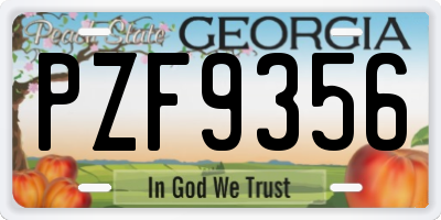 GA license plate PZF9356