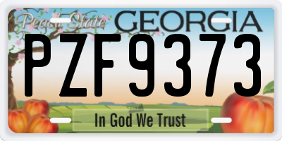 GA license plate PZF9373