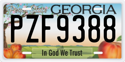 GA license plate PZF9388