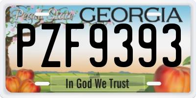 GA license plate PZF9393