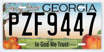 GA license plate PZF9447
