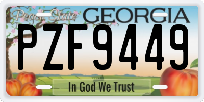GA license plate PZF9449