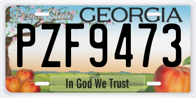GA license plate PZF9473