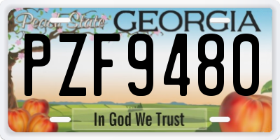 GA license plate PZF9480