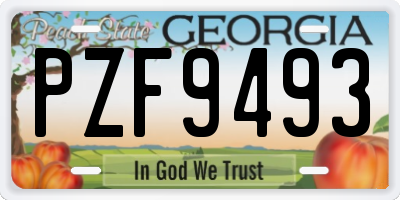 GA license plate PZF9493