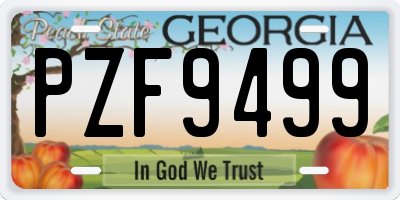GA license plate PZF9499
