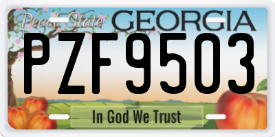 GA license plate PZF9503