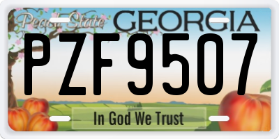 GA license plate PZF9507