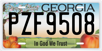 GA license plate PZF9508