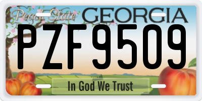 GA license plate PZF9509