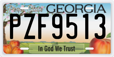 GA license plate PZF9513