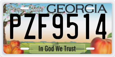 GA license plate PZF9514