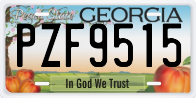 GA license plate PZF9515