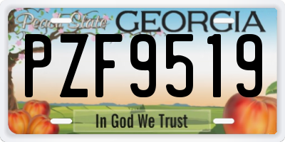 GA license plate PZF9519