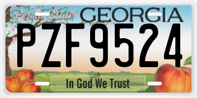 GA license plate PZF9524