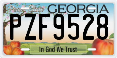 GA license plate PZF9528
