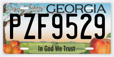 GA license plate PZF9529