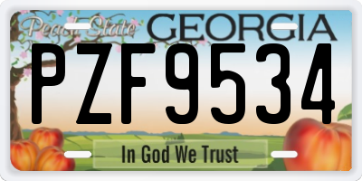 GA license plate PZF9534