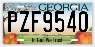 GA license plate PZF9540
