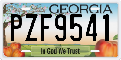 GA license plate PZF9541