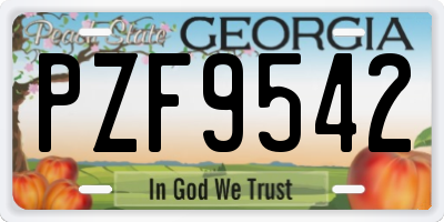 GA license plate PZF9542