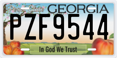 GA license plate PZF9544