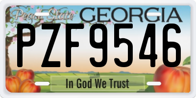 GA license plate PZF9546