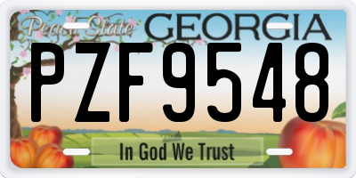 GA license plate PZF9548