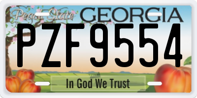 GA license plate PZF9554