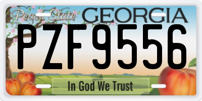 GA license plate PZF9556