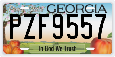 GA license plate PZF9557