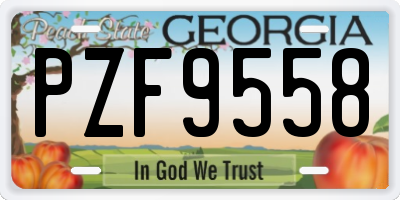 GA license plate PZF9558