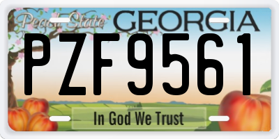 GA license plate PZF9561