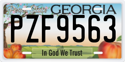 GA license plate PZF9563
