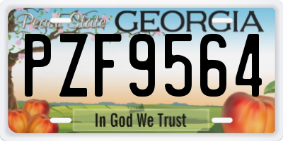 GA license plate PZF9564