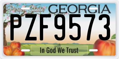 GA license plate PZF9573