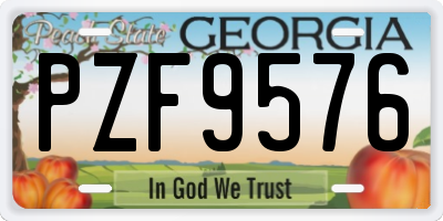 GA license plate PZF9576