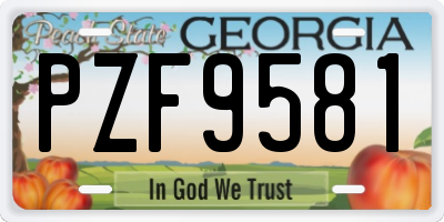 GA license plate PZF9581