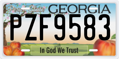 GA license plate PZF9583